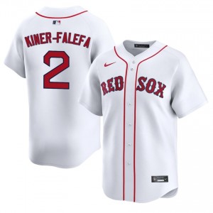 Men's The Sawx Isiah Kiner-Falefa #2 Baseball White Limited Jerseys 410972-309